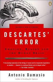 Descartes' Error: Emotion, Reason and The Human Brain book cover